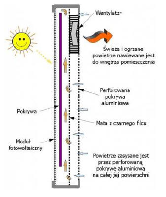 ozekol371.jpg