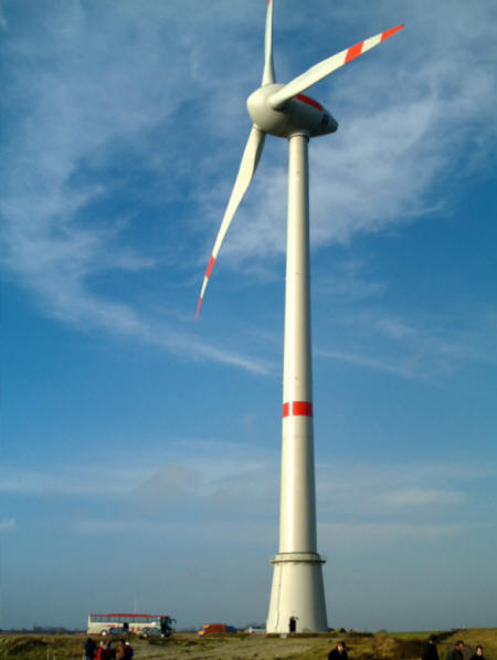 ozewia24.jpg