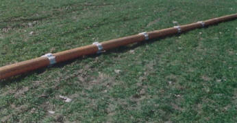 siecig38.jpg